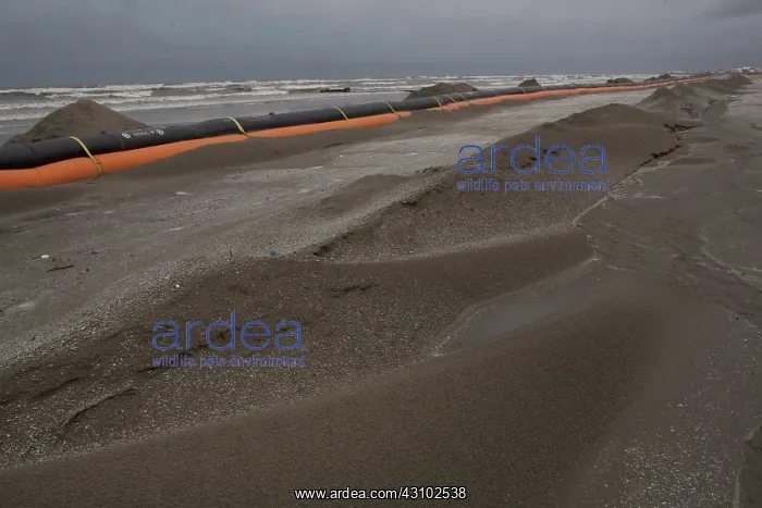 : Oil Containment Boom, Grand Isle, Louisiana : Oil Containment Boom, Grand Isle, Louisiana
