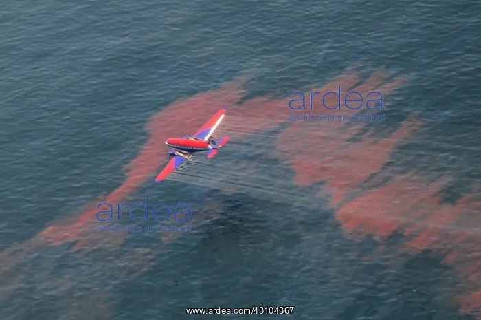 : Oil dispersant operations : Oil dispersant operations