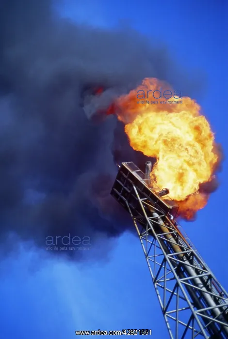: Oil Field / Rig - gas flare / flame : Oil Field / Rig - gas flare / flame