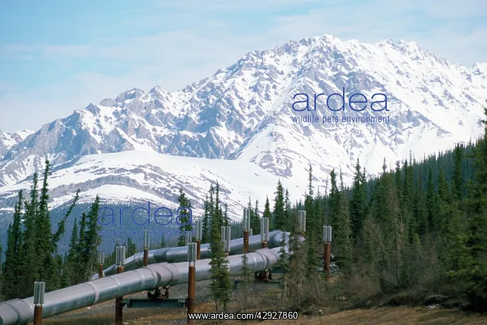  : Oil Pipe Line
