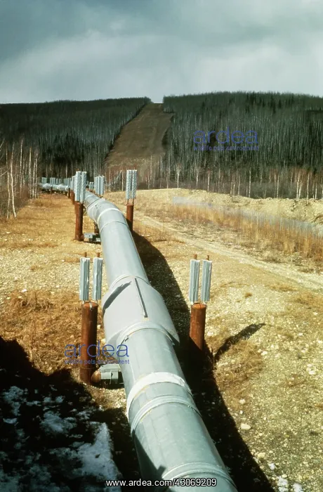 : Oil Pipeline : Oil Pipeline