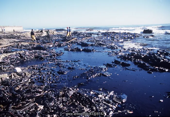 : OIL POLLUTION - From MV Treasure, Cape Town. June 2000 : OIL POLLUTION - From MV Treasure, Cape Town. June 2000