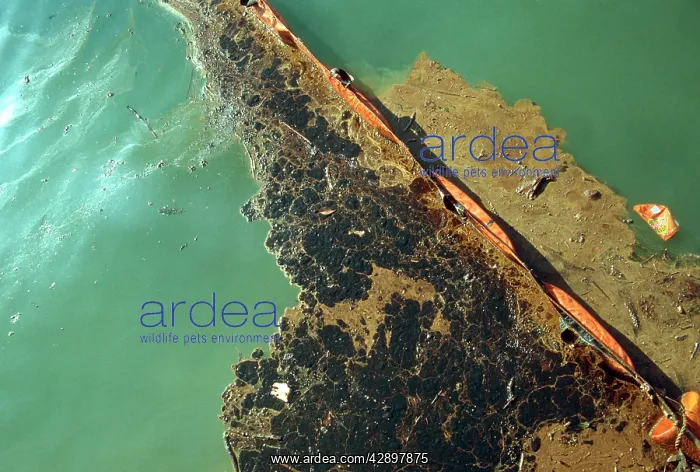 : Oil pollution in Sydney Harbour from a Tawinese : Oil pollution in Sydney Harbour from a Tawinese