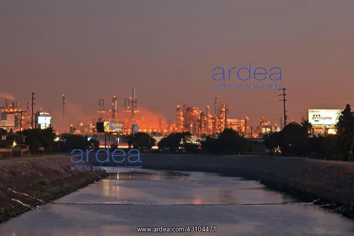 : Oil refinery and Dominguez Channel : Oil refinery and Dominguez Channel