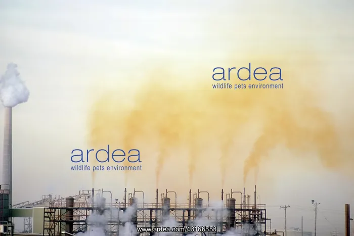 : Oil Refinery Pollution : Oil Refinery Pollution