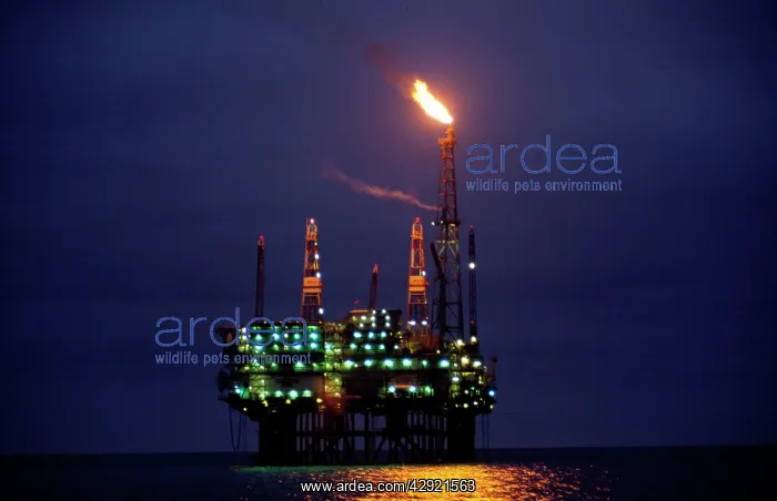 : Oil Rig - Brit oil's Beatrice : Oil Rig - Brit oil's Beatrice