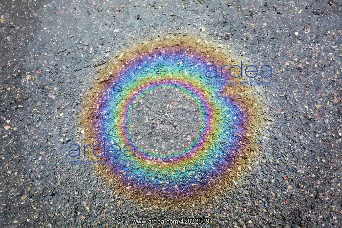  : Oil - on the road