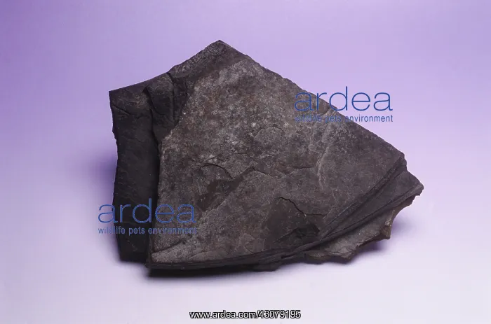 : Oil shale : Oil shale