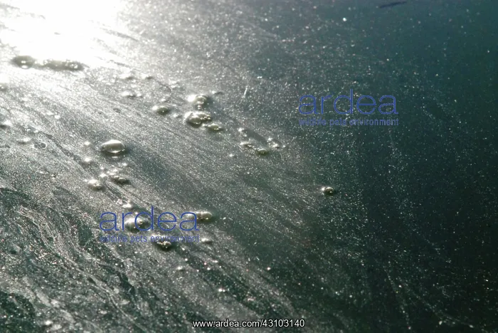 : Oil Slick on Newtown Creek, NYC : Oil Slick on Newtown Creek, NYC