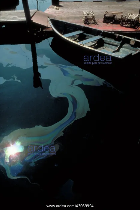 : Oil slick on water : Oil slick on water