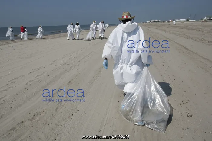 : Oil Spill Clean Up Workers : Oil Spill Clean Up Workers