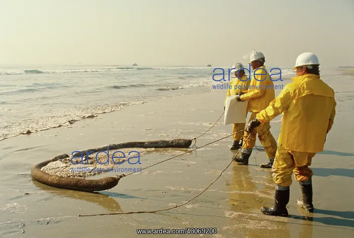  : Oil Spill Cleanup