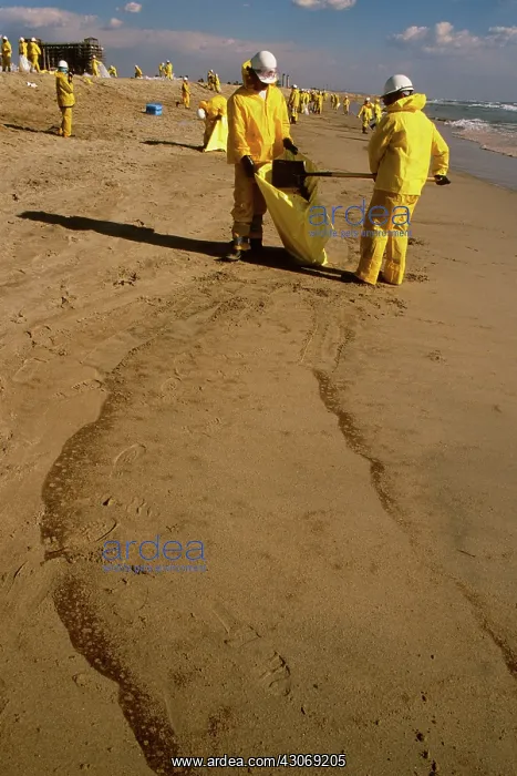 : Oil Spill Cleanup : Oil Spill Cleanup