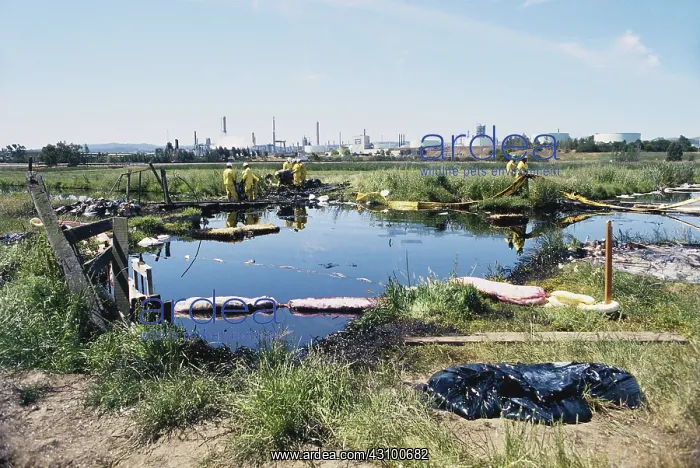 : Oil Spill Cleanup : Oil Spill Cleanup