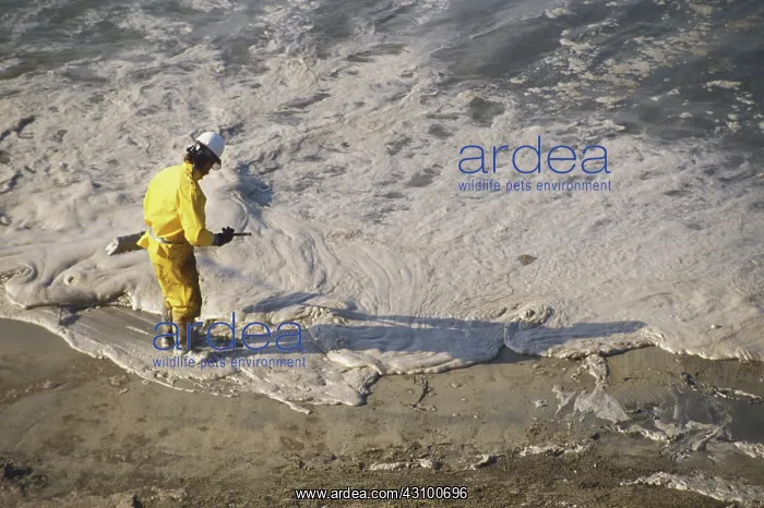 : Oil Spill Cleanup : Oil Spill Cleanup