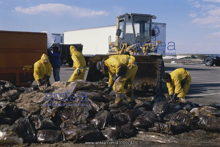 : Oil Spill Cleanup : Oil Spill Cleanup