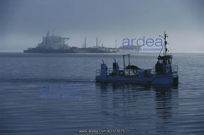 : Oil Spill Cleanup : Oil Spill Cleanup