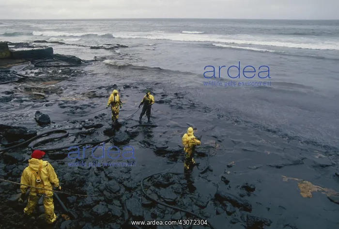 : Oil Spill Cleanup, Puerto Rico : Oil Spill Cleanup, Puerto Rico