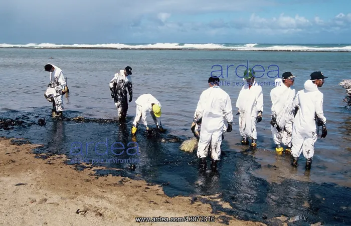 : Oil Spill Cleanup, Puerto Rico : Oil Spill Cleanup, Puerto Rico