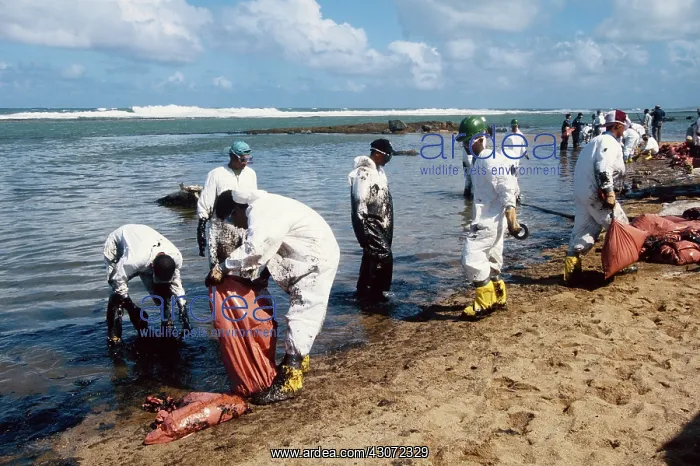 : Oil Spill Cleanup, Puerto Rico : Oil Spill Cleanup, Puerto Rico