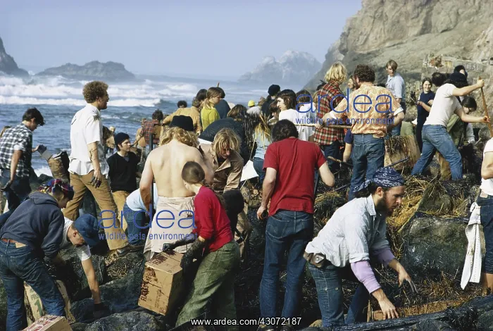 : Oil Spill Cleanup, San Francisco : Oil Spill Cleanup, San Francisco