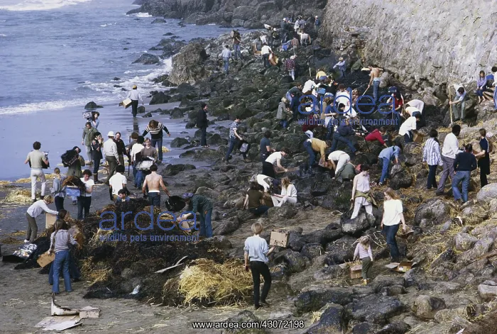: Oil Spill Cleanup, San Francisco : Oil Spill Cleanup, San Francisco