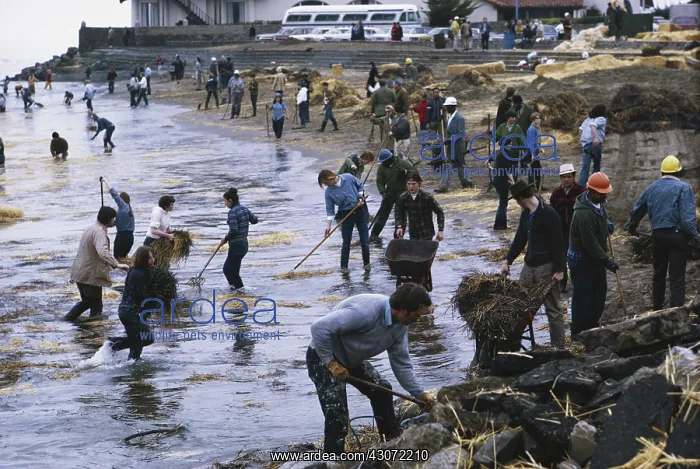 : Oil Spill Cleanup, San Francisco : Oil Spill Cleanup, San Francisco