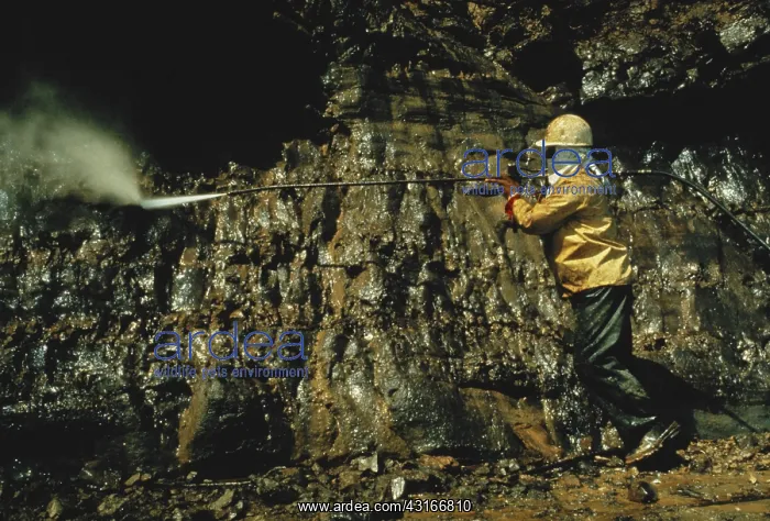 : Oil Spill Cleanup, Santa Barbara, CA, 1969 : Oil Spill Cleanup, Santa Barbara, CA, 1969