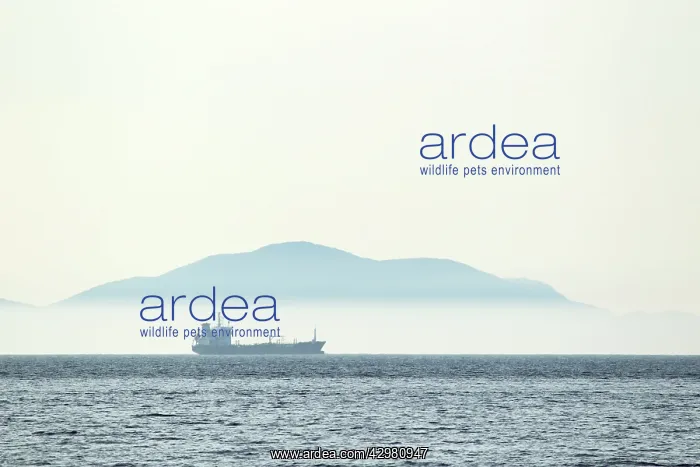 : Oil Tanker passing North Uist : Oil Tanker passing North Uist