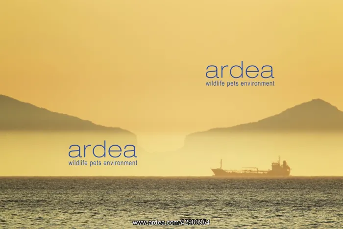 : Oil Tanker passing South Uist : Oil Tanker passing South Uist