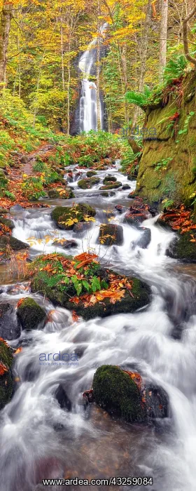 : Oirase waterfalls wild Japan in northern Japan : Oirase waterfalls wild Japan in northern Japan