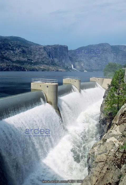 : OIShaughnessy DAM : OIShaughnessy DAM