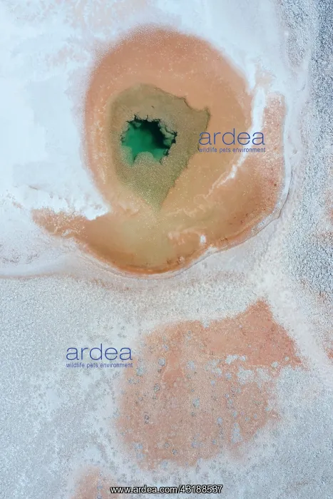 : Ojos del Mar, Tolar Grande, La Puna, Aerial View : Ojos del Mar, Tolar Grande, La Puna, Aerial View