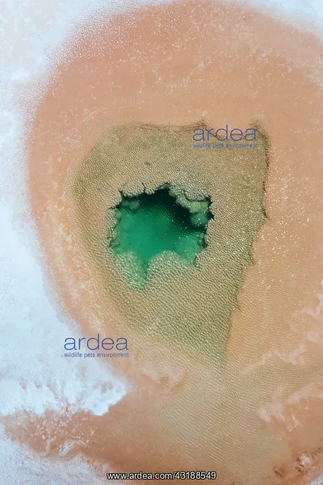 : Ojos del Mar, Tolar Grande, La Puna, Aerial View : Ojos del Mar, Tolar Grande, La Puna, Aerial View