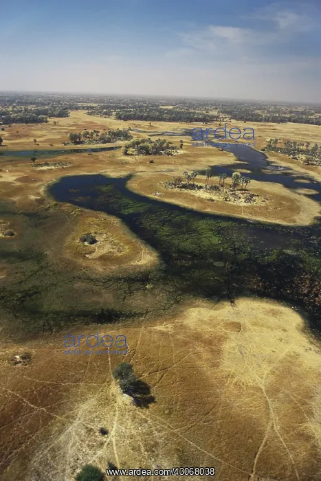: Okavango Delta : Okavango Delta
