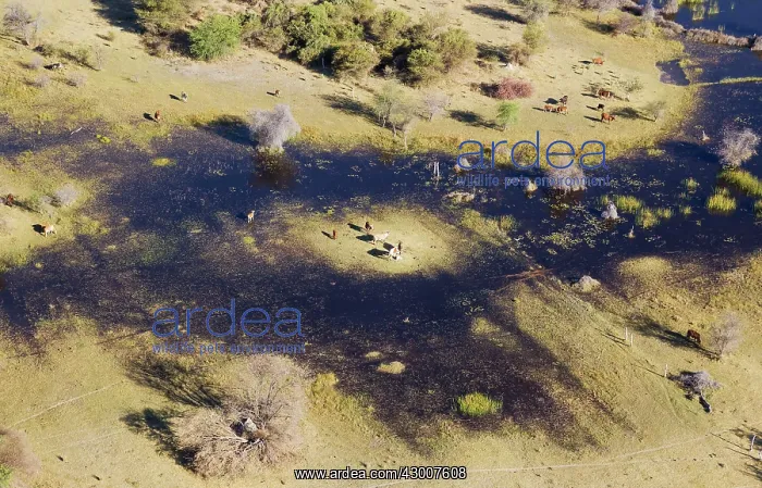: Okavango Delta aerial view just outside the protected : Okavango Delta aerial view just outside the protected