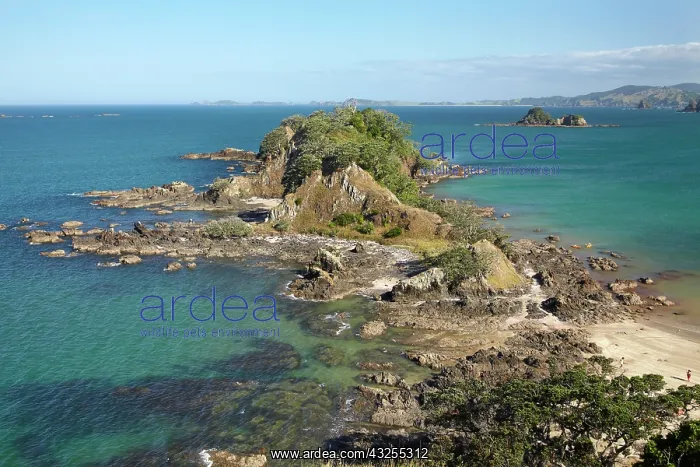 : Okiore Point, Oakura Bay, Northland, North : Okiore Point, Oakura Bay, Northland, North