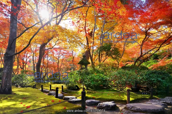 : okochi'sanso path, Japan : okochi'sanso path, Japan