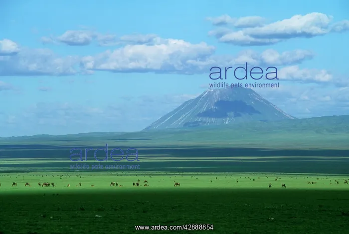 : Ol Doinyo Lengai - Volcano Sacred to Maasai & Wildebeeste
