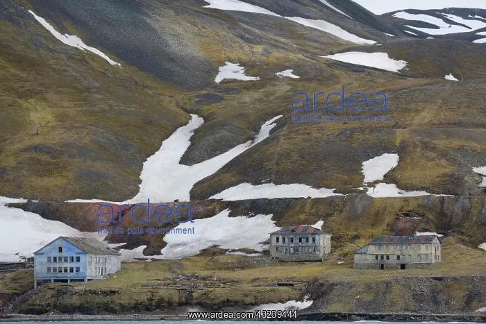 : old, abandoned houses near Longyearbyen : old, abandoned houses near Longyearbyen