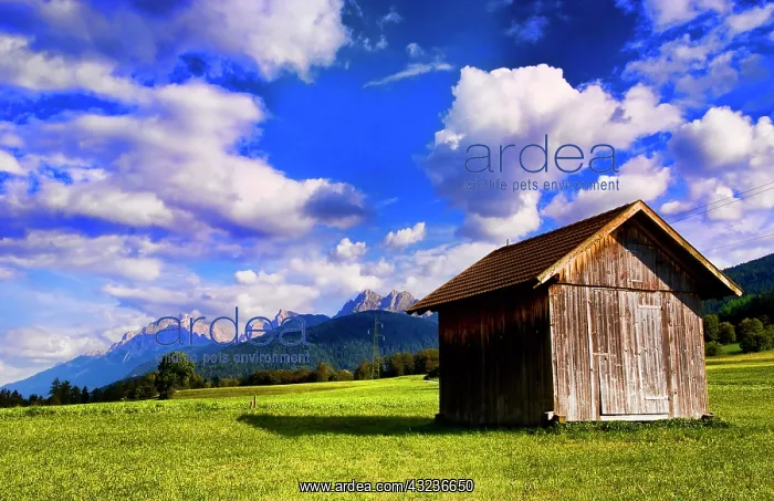 : Old barn in farm with fabulous Dolomites : Old barn in farm with fabulous Dolomites