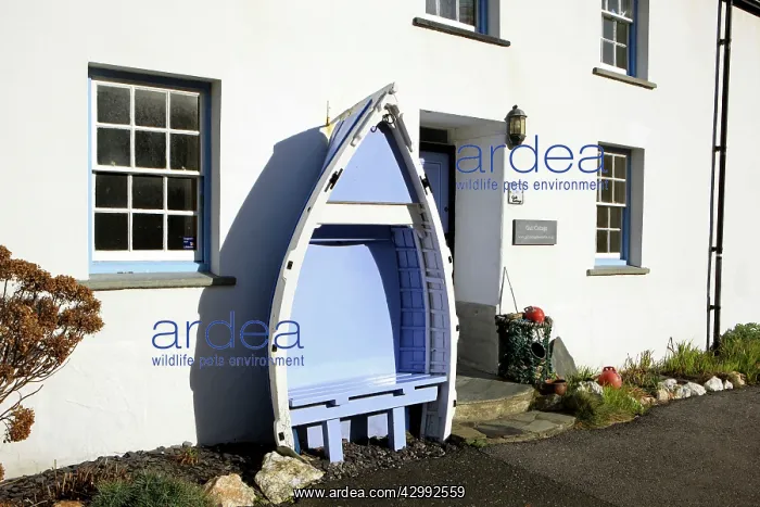 : Old Boat Seat - outside a cottage : Old Boat Seat - outside a cottage