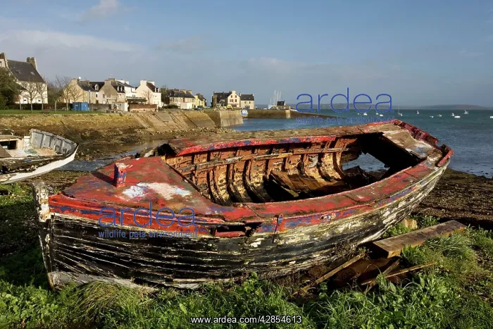  : Old Boat on shore by harbour