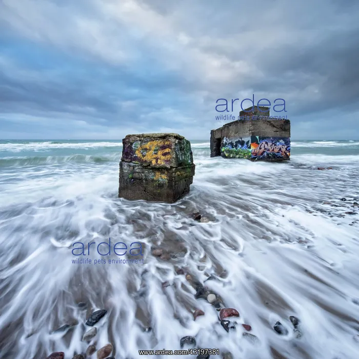 : Old bunkers with graffiti in the surf of the Baltic : Old bunkers with graffiti in the surf of the Baltic