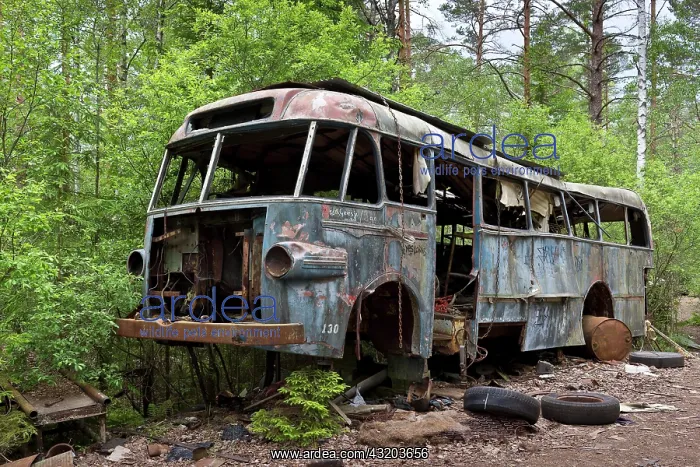 : Old bus, Kyrk&, xf6; Mosse junkyard, Ryd, Tingsryd : Old bus, Kyrk&, xf6; Mosse junkyard, Ryd, Tingsryd