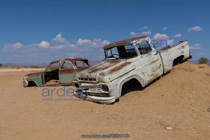 : Old car wreck in sand, vintage car, Ford Pickup : Old car wreck in sand, vintage car, Ford Pickup