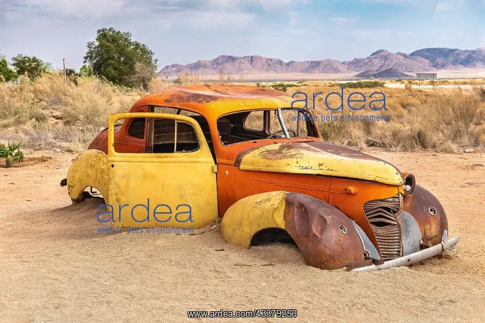 : Old cars, discarded and parked, Solitaire roadhouse : Old cars, discarded and parked, Solitaire roadhouse