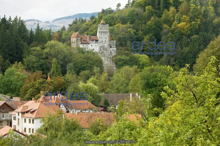: The old castle at Bran : The old castle at Bran