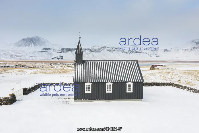 : Old church in Budir - Snaefellsnes - Iceland : Old church in Budir - Snaefellsnes - Iceland