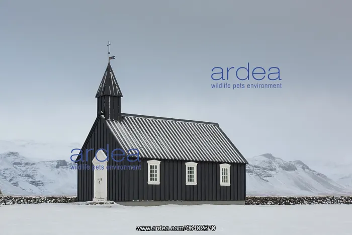  : Old church in Budir - Snaefellsnes - Iceland